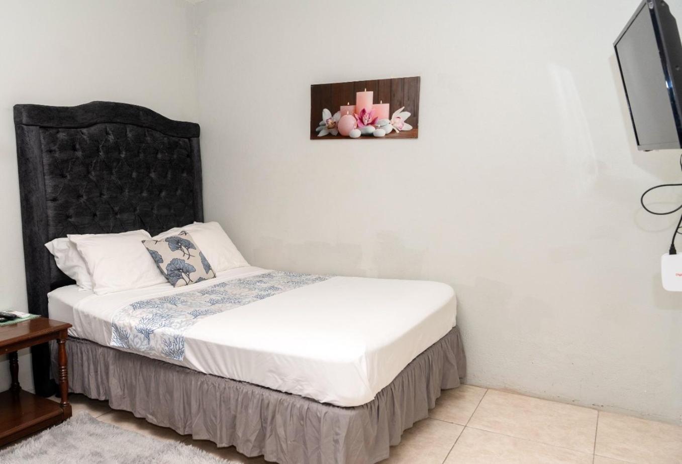 Mona Master Apartment Kingston